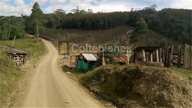 Lote en venta en San Francisco, Soacha, 2428 m² · foto 6 de 18