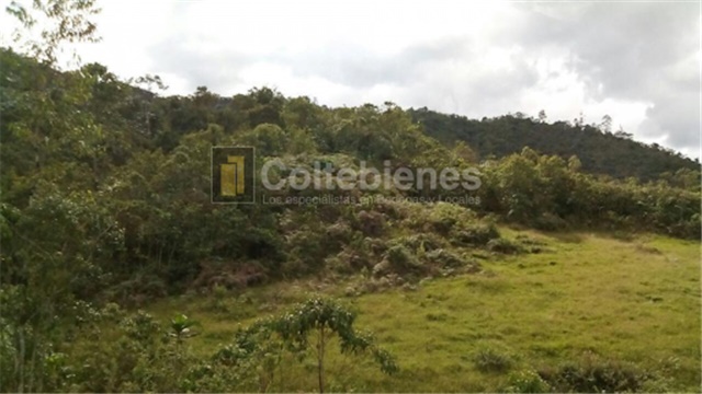 Lote en venta en San Francisco, Soacha, 2428 m² · foto 7 de 18