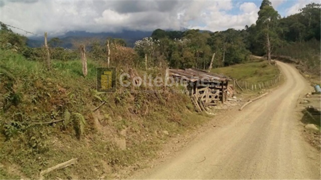 Lote en venta en San Francisco, Soacha, 2428 m² · foto 12 de 18