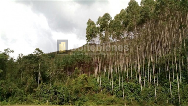 Lote en venta en San Francisco, Soacha, 2428 m² · foto 13 de 18