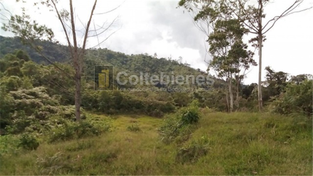 Lote en venta en San Francisco, Soacha, 2428 m² · foto 15 de 18