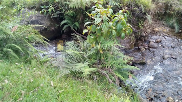 Lote en venta en San Francisco, Soacha, 2428 m² · foto 16 de 18