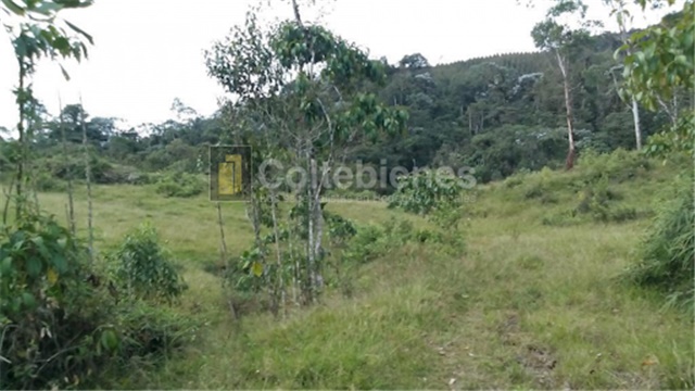 Lote en venta en San Francisco, Soacha, 2428 m² · foto 17 de 18