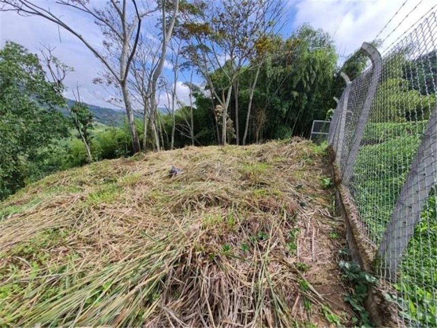 Lote en venta en Las Pavas, Manizales, 8916 m² · foto 2 de 4