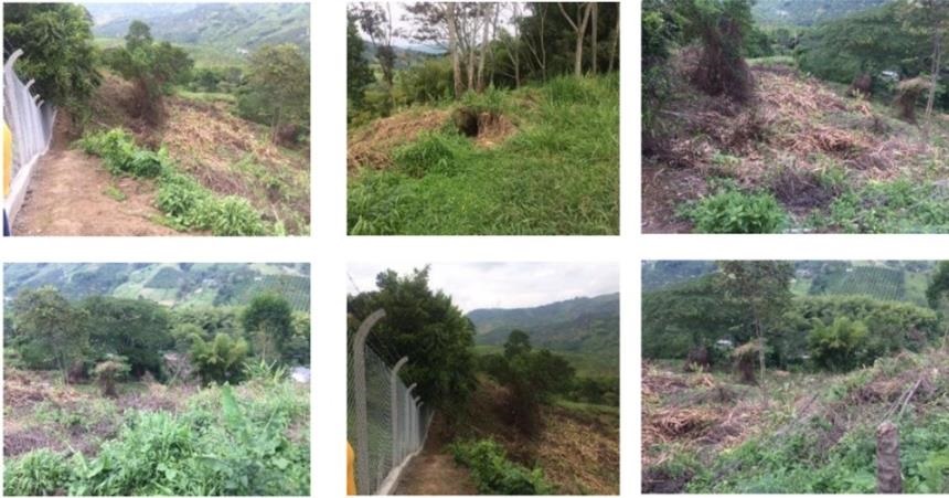 Lote en venta en Las Pavas, Manizales, 8916 m² · foto 3 de 4