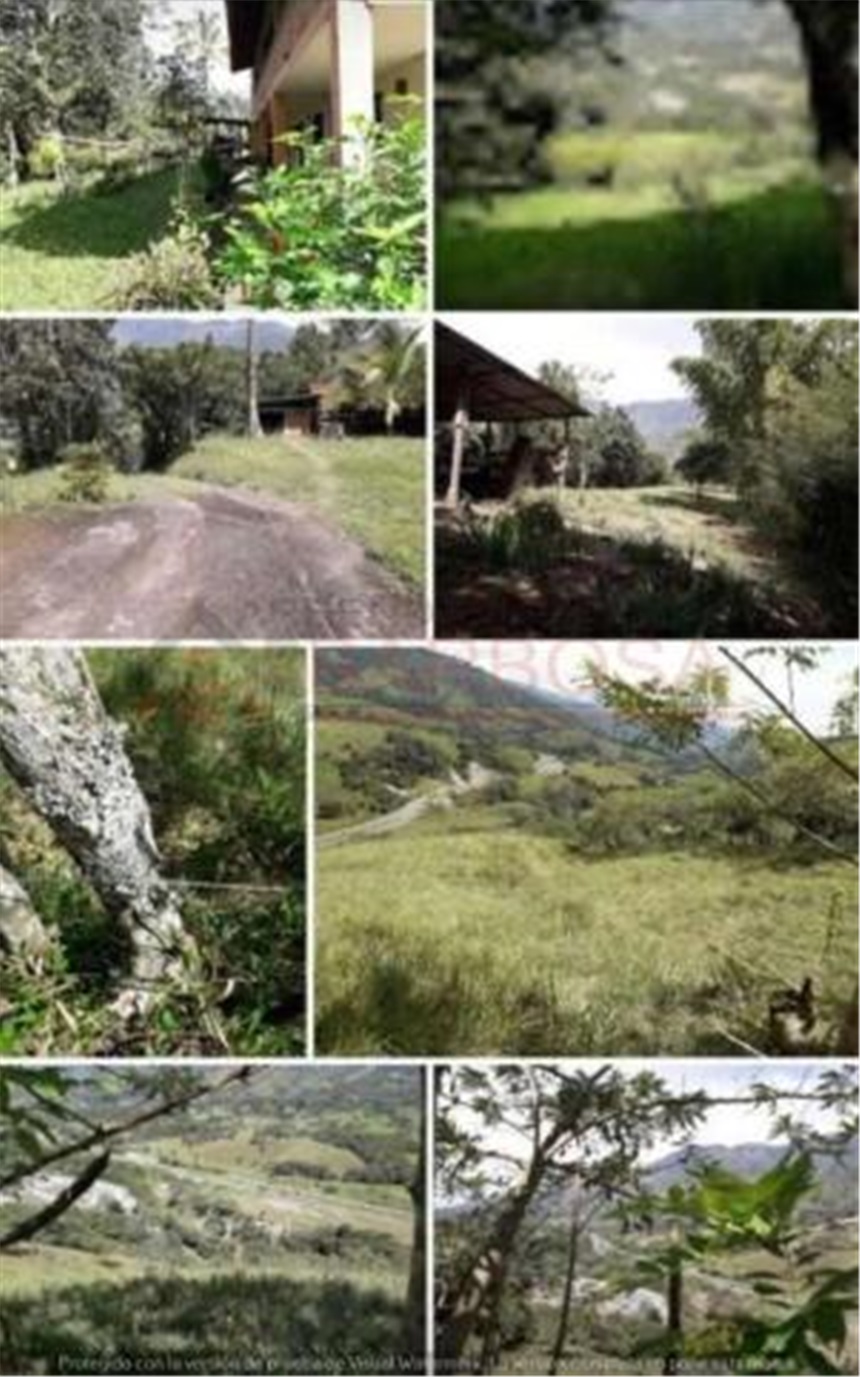 Finca en Venta