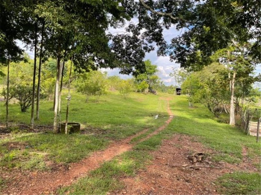 Finca en Venta - View 5