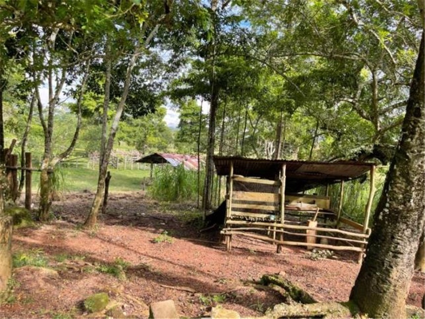 Finca en Venta - View 3