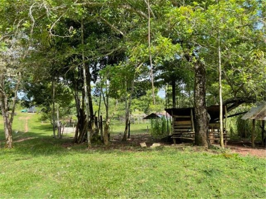 Finca en Venta - View 4