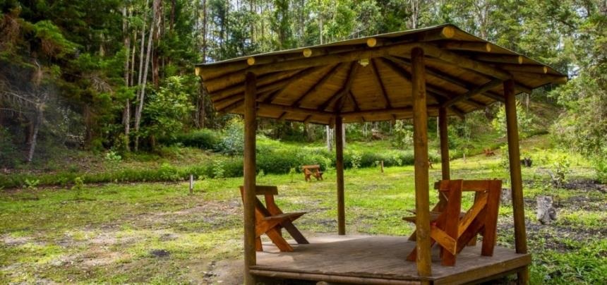 Lote en venta en Guamito, La Ceja, 2326 m² · foto 13 de 15