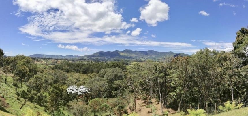 Lote en venta en Guamito, La Ceja, 2326 m² · foto 5 de 15