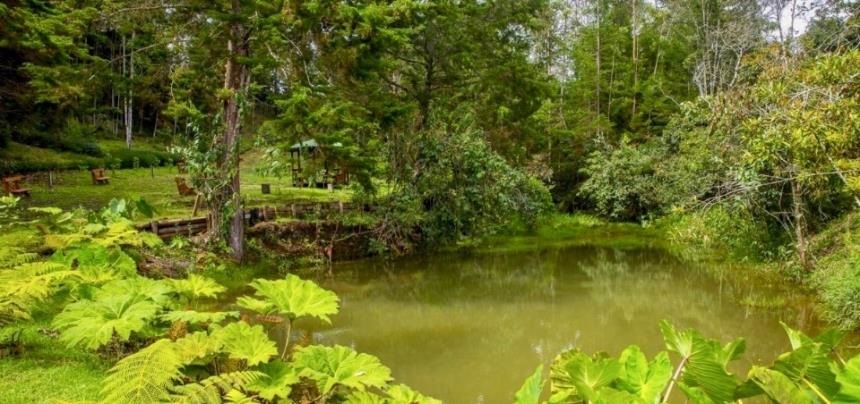 Lote en venta en Guamito, La Ceja, 2326 m² · foto 11 de 15