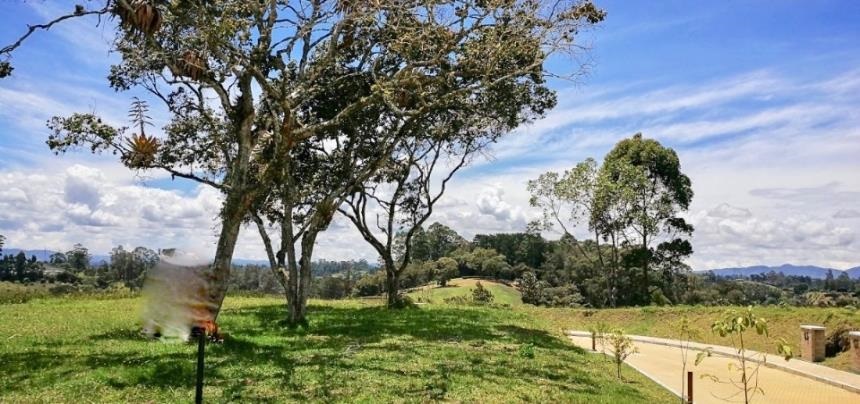 Lote en venta en Guamito, La Ceja, 2326 m² · foto 4 de 15