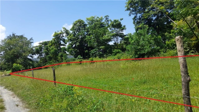 Lote en venta en Sierra Chiquita, Montería, 1000 m² · foto 2 de 2
