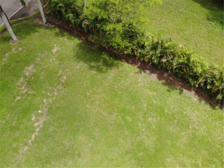 Lote en venta en La Poyata, Villavicencio, 3649 m² · foto 19 de 24
