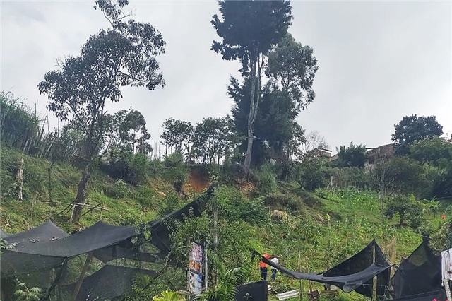 Bild 2 der in Medellín angebotenen Immobilie