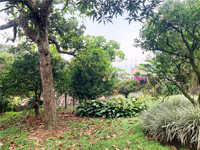 Casa de 3 alcobas en venta en Zuñiga, Envigado, 470 m² · foto 19 de 19