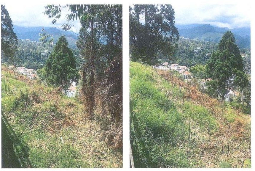 Lote en venta en El Trebol, Manizales, 15800 m² · foto 19 de 20