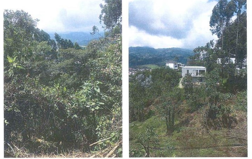 Lote en venta en El Trebol, Manizales, 15800 m² · foto 14 de 20
