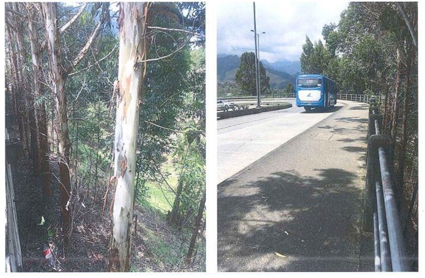 Lote en venta en El Trebol, Manizales, 15800 m² · foto 17 de 20