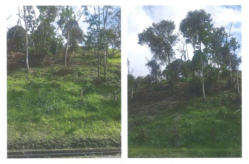 Lote en Venta - View 2