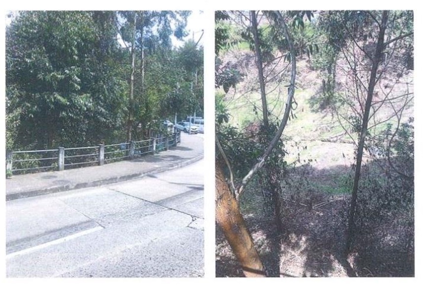 Lote en venta en El Trebol, Manizales, 15800 m² · foto 16 de 20