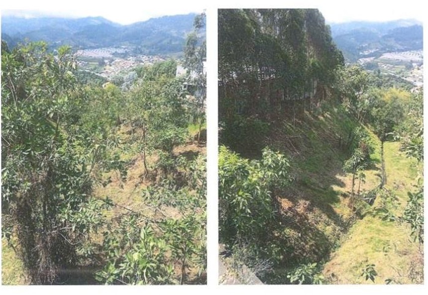 Lote en venta en El Trebol, Manizales, 15800 m² · foto 13 de 20