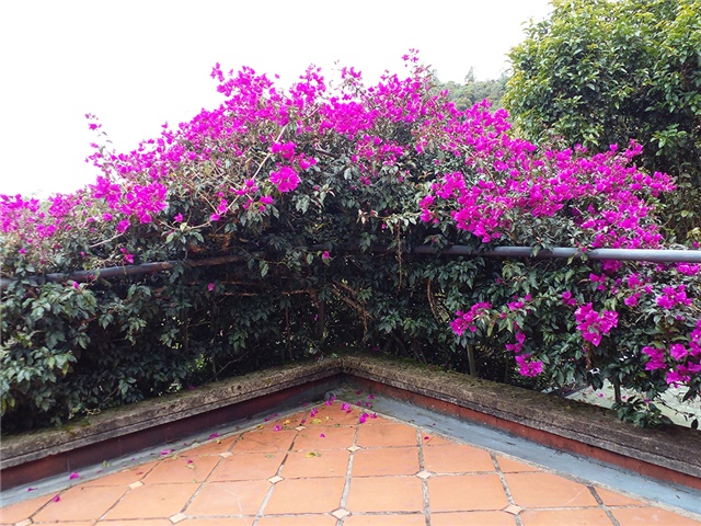 Casa de 4 alcobas en venta en Escobero, Envigado, 380 m² · foto 17 de 19
