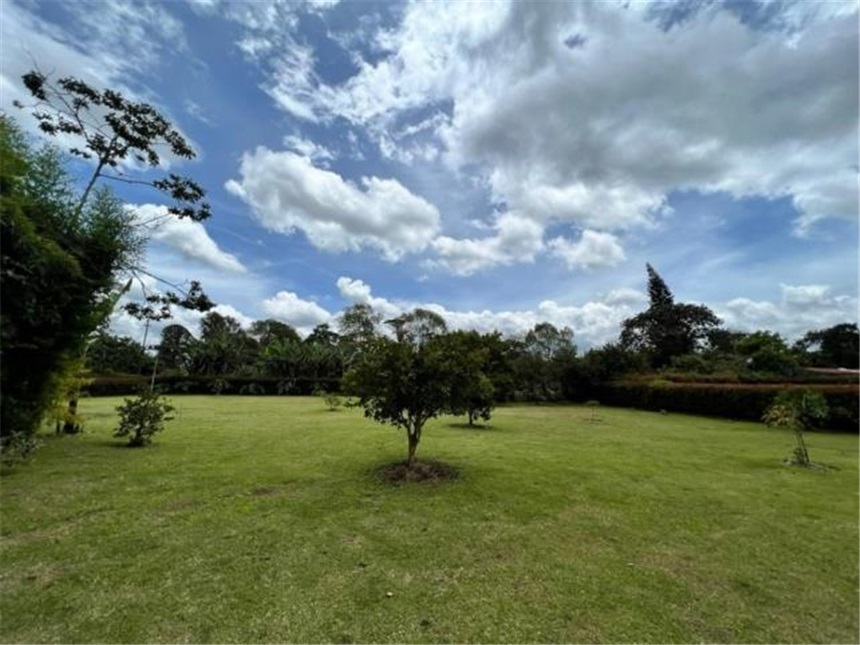 Finca en Venta – pohled 5
