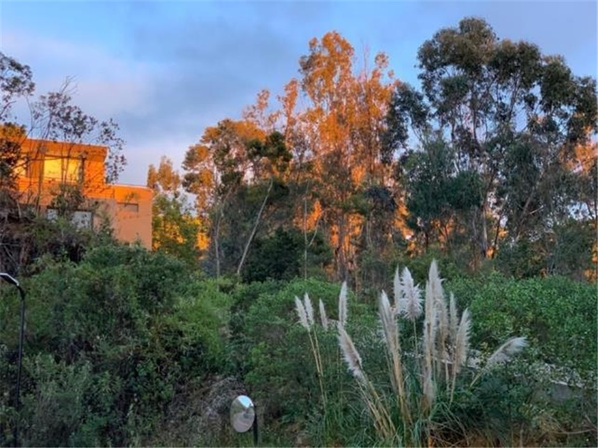 Lote en venta en Fusca, Chía, 3500 m² · foto 4 de 18