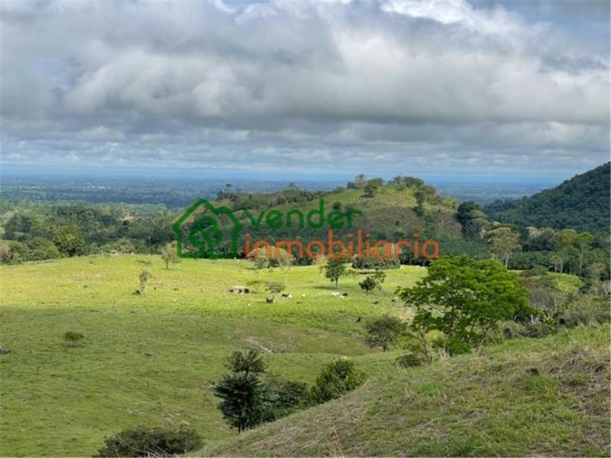Finca en Venta - Näkymä 4
