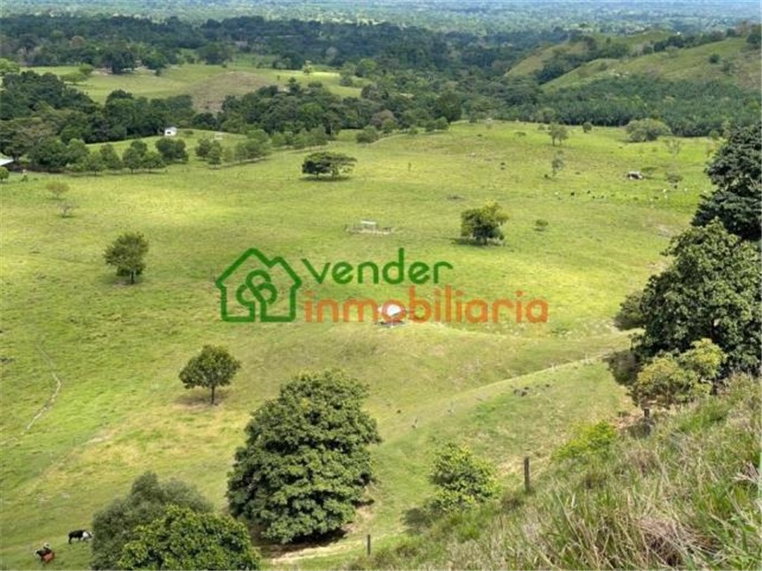 Finca en Venta - Näkymä 5