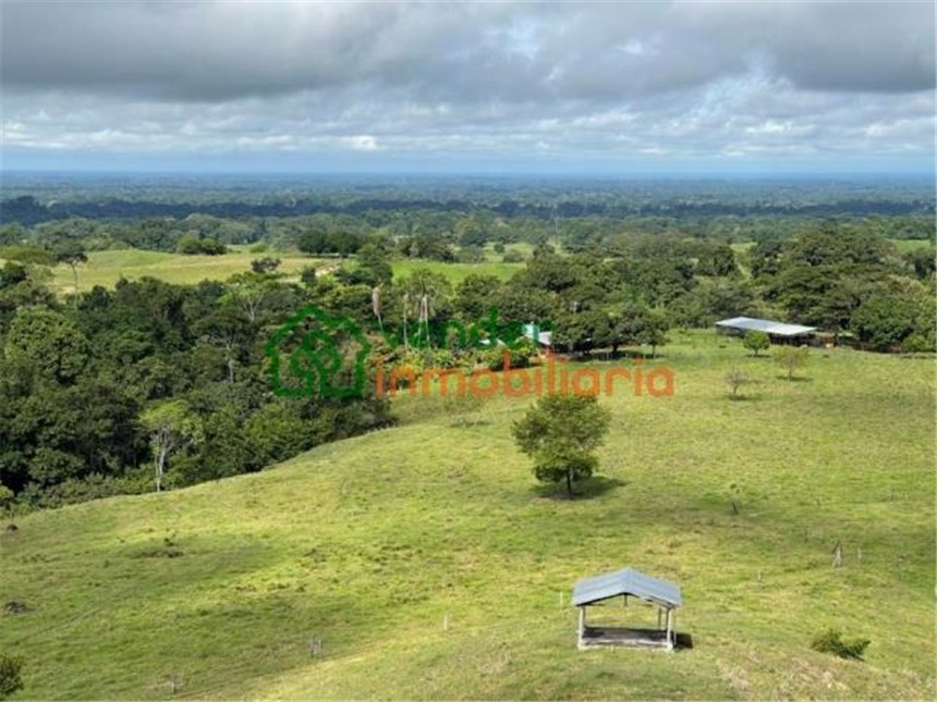 Finca en Venta - Näkymä 2