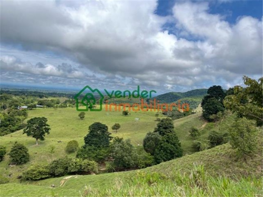 Finca en Venta - Näkymä 6