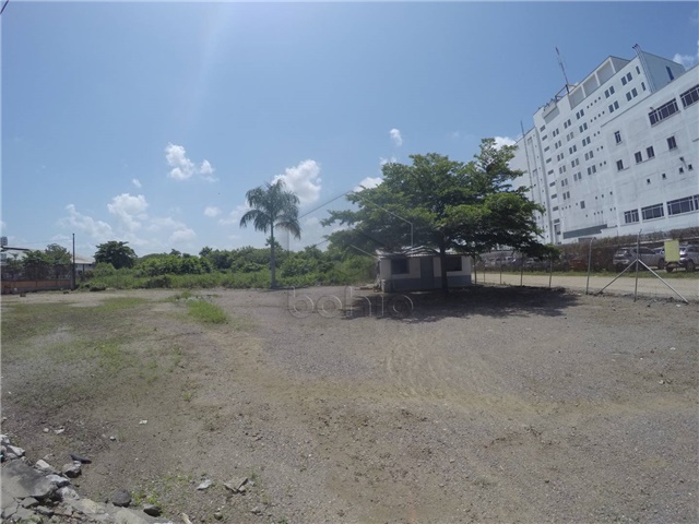 Lote en arriendo en Sevilla, Montería, 1450 m² · foto 4 de 14