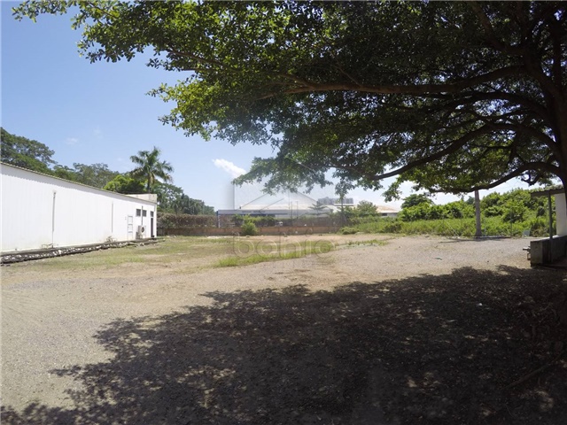 Lote en arriendo en Sevilla, Montería, 1450 m² · foto 5 de 14
