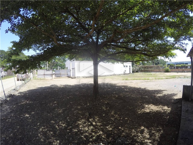 Lote en arriendo en Sevilla, Montería, 1450 m² · foto 7 de 14