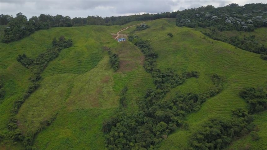 Finca en Venta - Vista 4