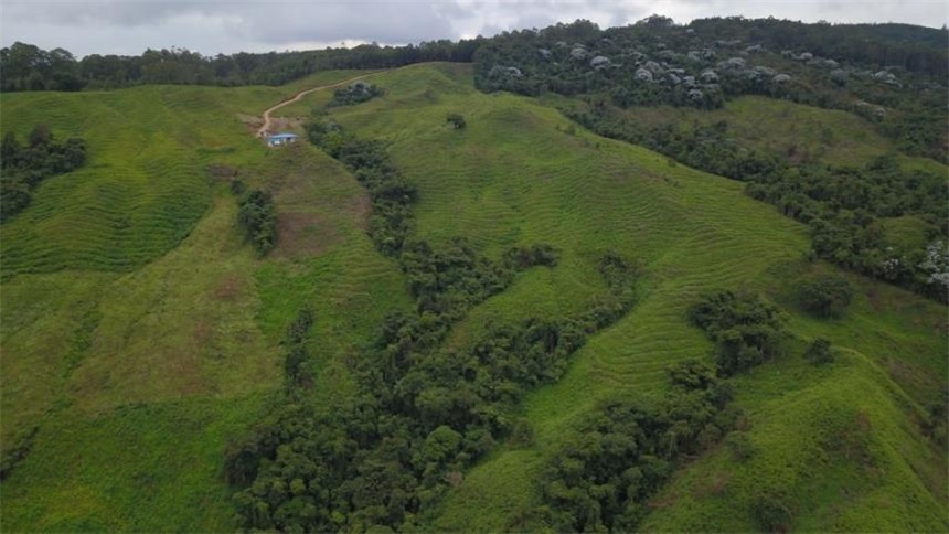 Finca en Venta - Vista 5