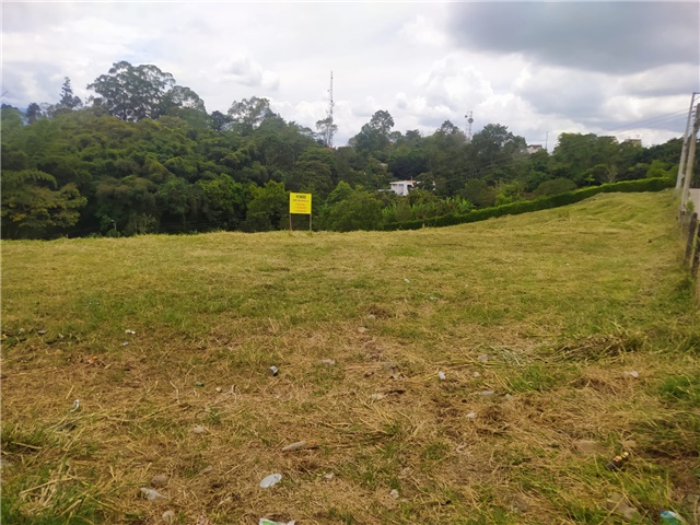 Lote en Arriendo - Vista 4