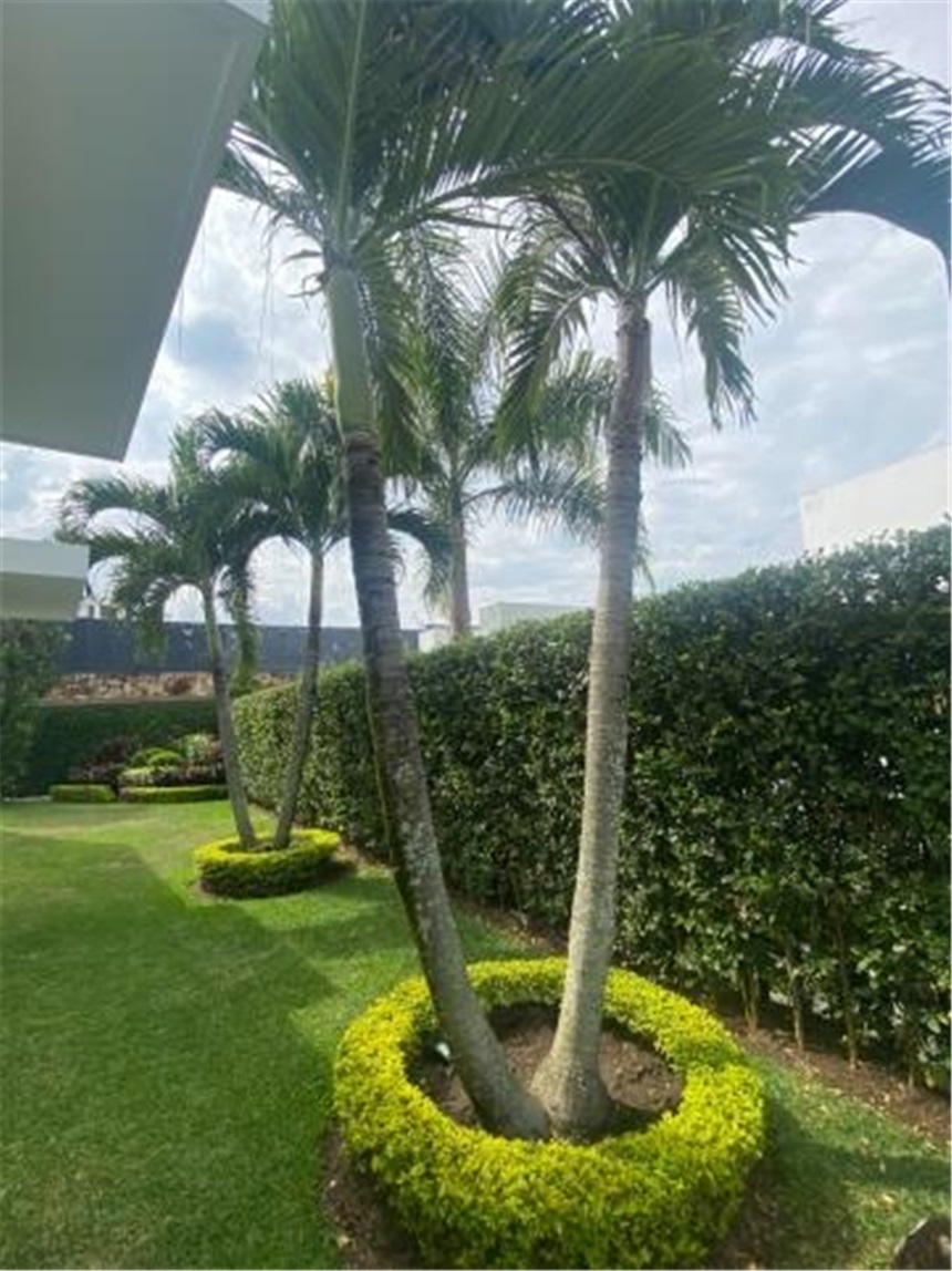 Casa de 4 alcobas en venta en Ciudad Campestre, Cali, 419 m² · foto 21 de 24