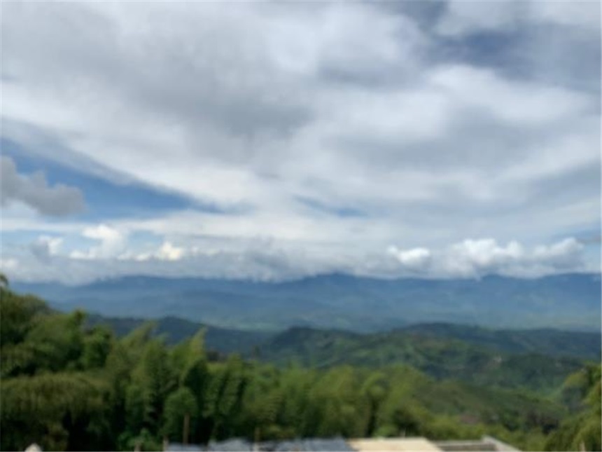 Lote en venta en La Cabaña, Manizales, 500 m² · foto 7 de 12