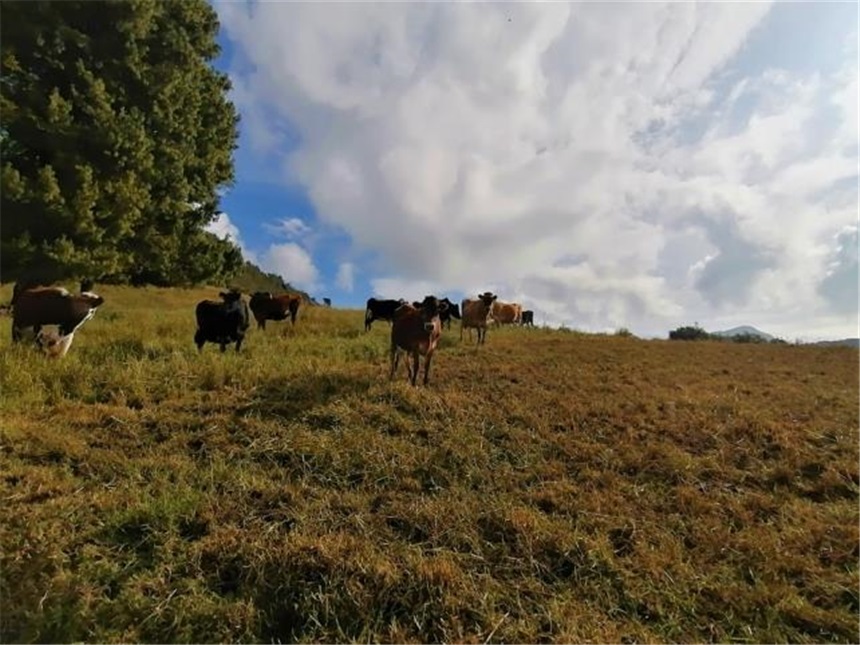 Finca en venta en Buenos Aires La Epifania, La Calera · foto 21 de 24