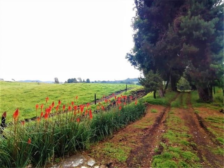 Finca en venta en Buenos Aires La Epifania, La Calera · foto 6 de 24