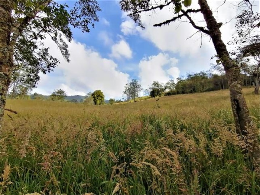 Finca en venta en Buenos Aires La Epifania, La Calera · foto 22 de 24
