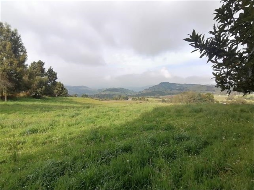 Finca en venta en Buenos Aires La Epifania, La Calera · foto 5 de 24
