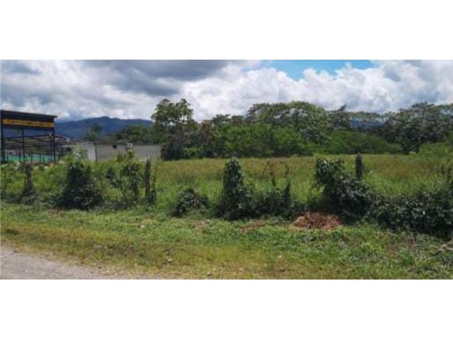 Lote en venta en Antonio Villavicencio, Villavicencio, 11460 m² · foto 11 de 14