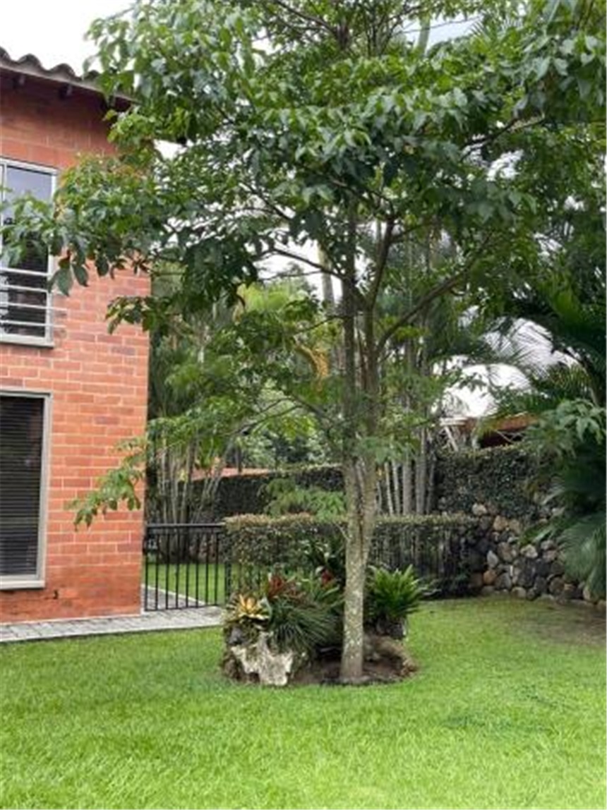 Casa en Venta - View 4