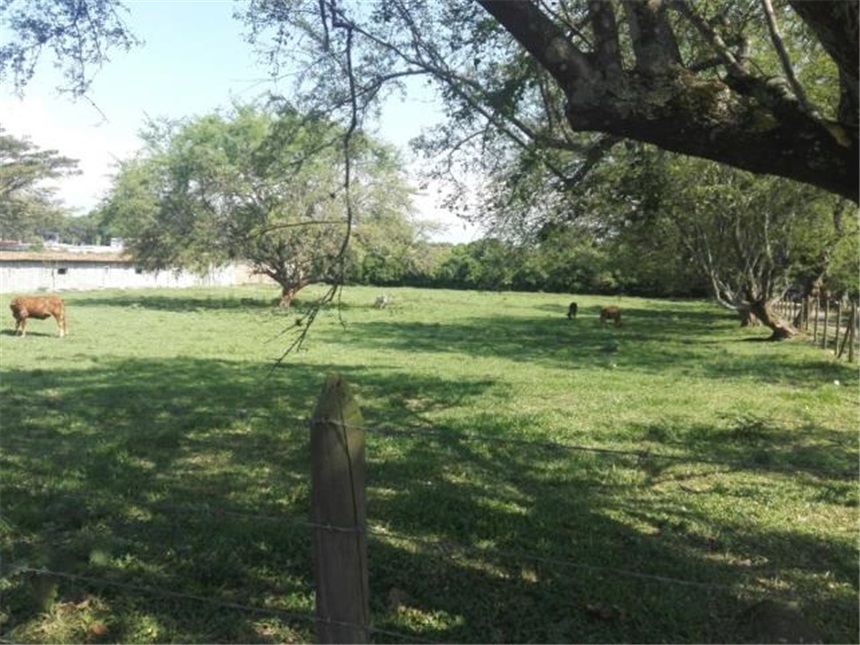 Lote en venta en Pance Bajo, Cali, 9400 m² · foto 3 de 8
