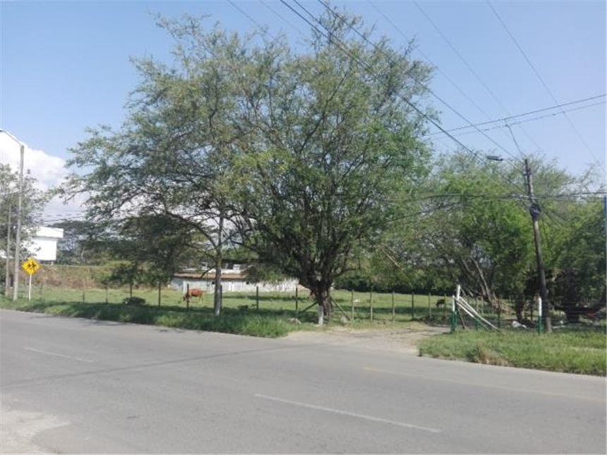 Lote en venta en Pance Bajo, Cali, 9400 m² · foto 2 de 8
